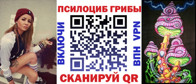 Купить  Смоленск  Галлюциногенные грибы Psilocybe 